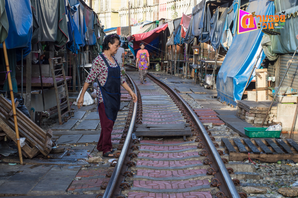 ตามรอยตะวัน