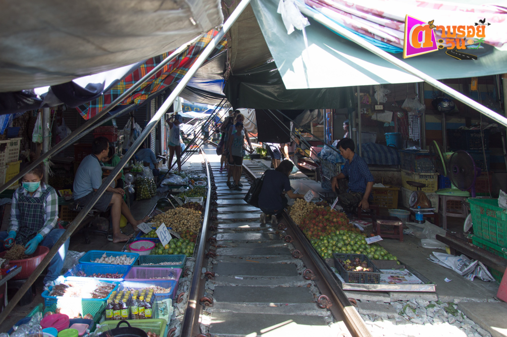 ตามรอยตะวัน