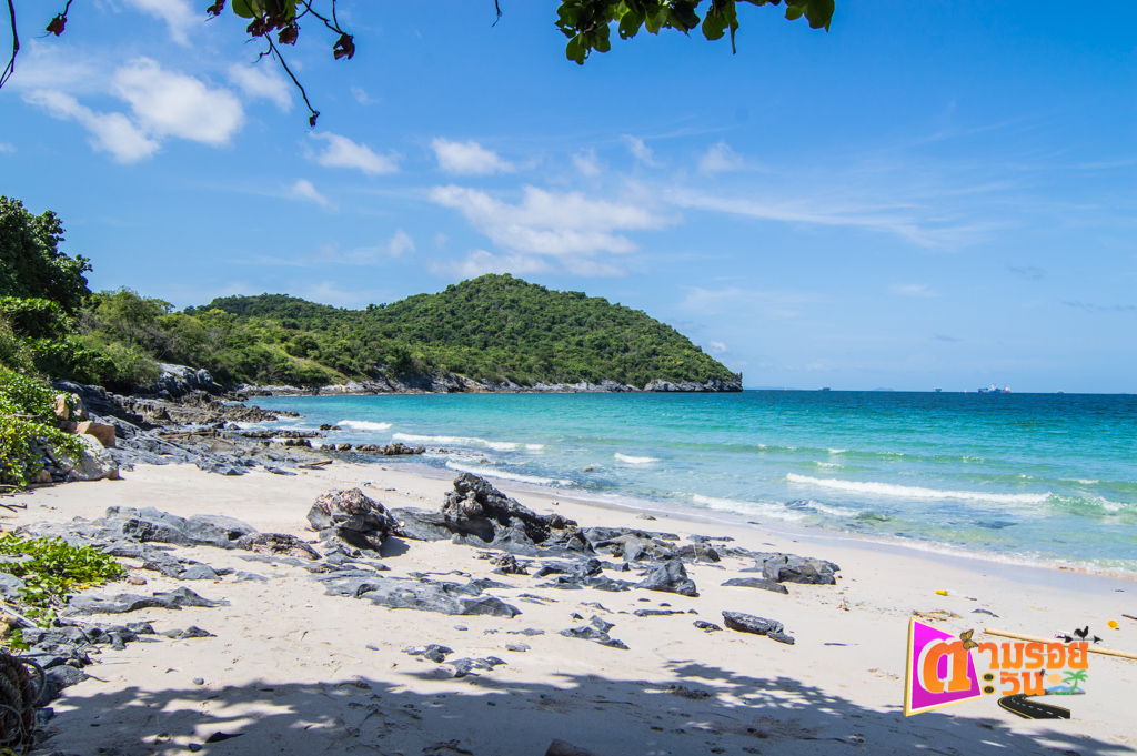 ตามรอยตะวัน